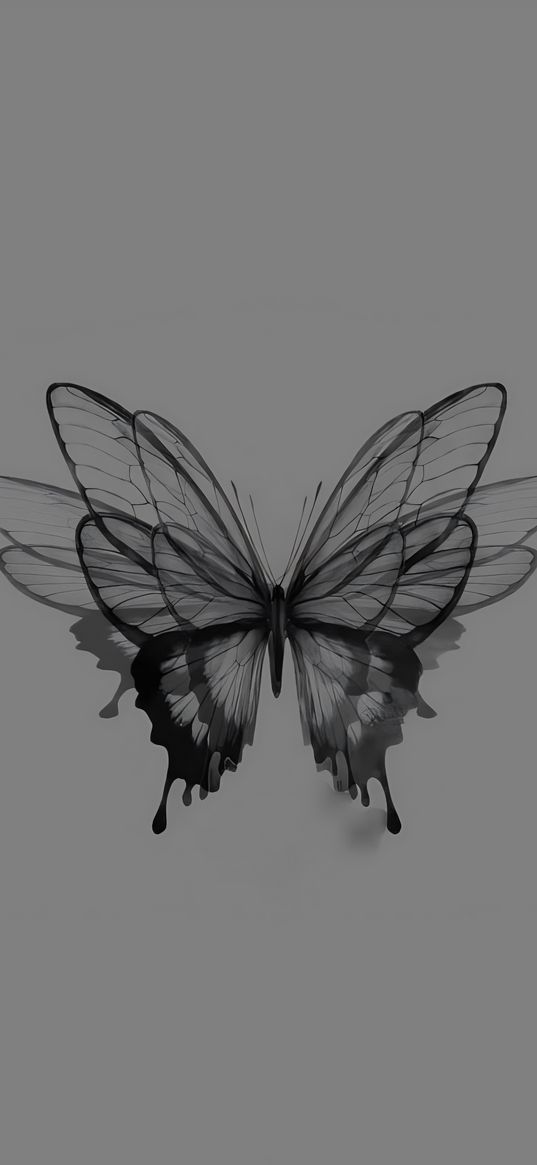 butterfly, ink, drawing, art, gray, black