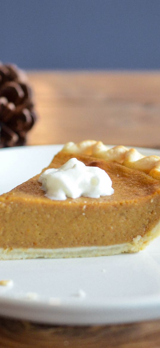 pumpkin cheesecake, cheesecake, dessert, topping