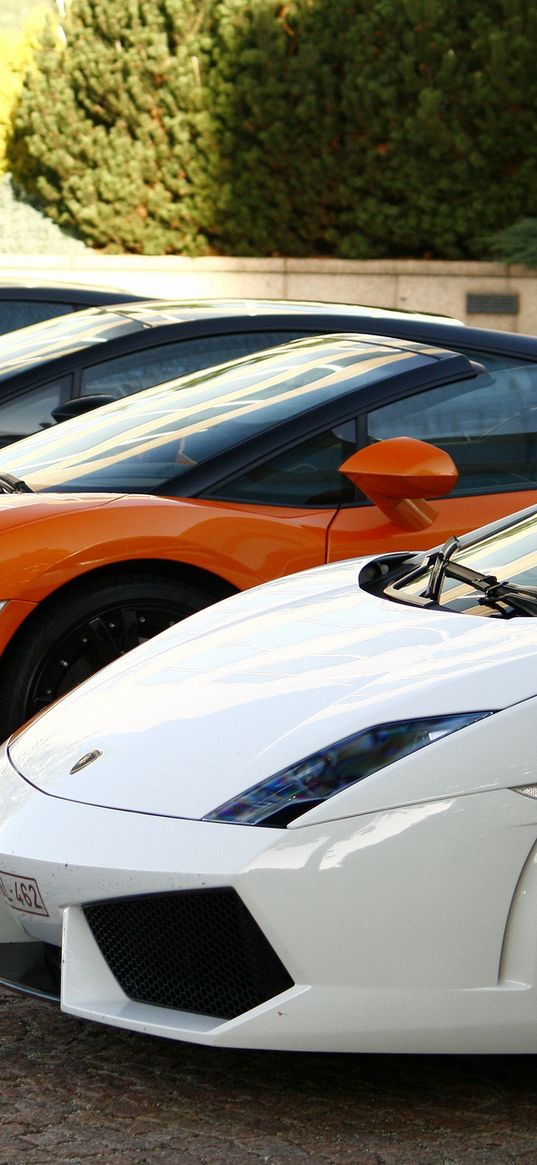 gallardo, trees, black, white, lamborghini, building, orange