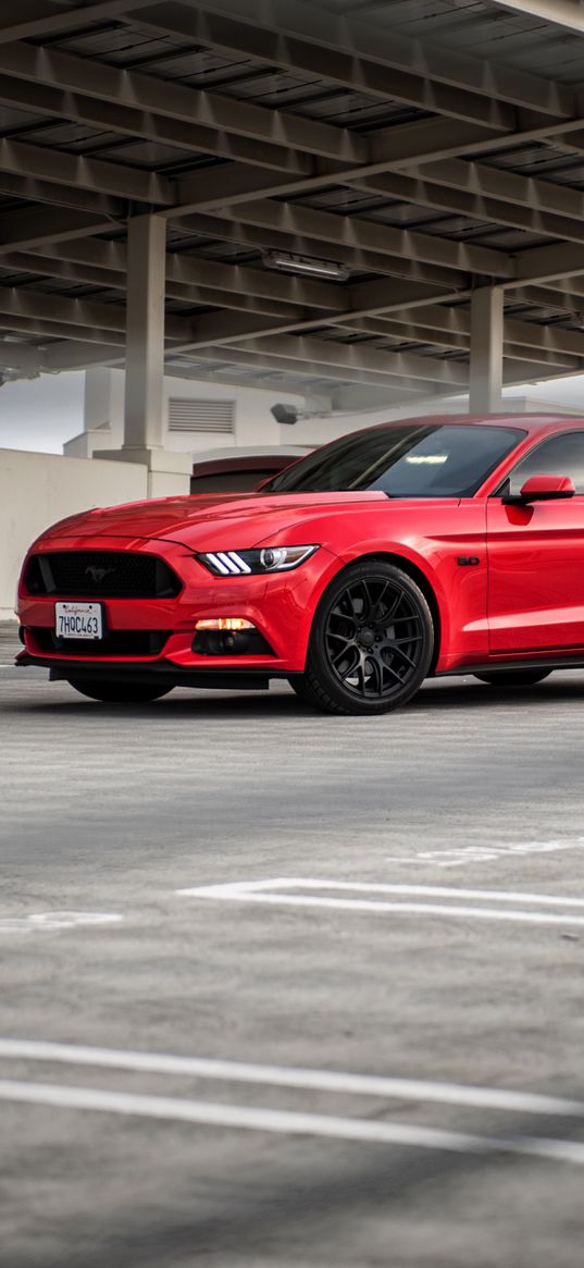 ford mustang, ford, car, red, front view, asphalt