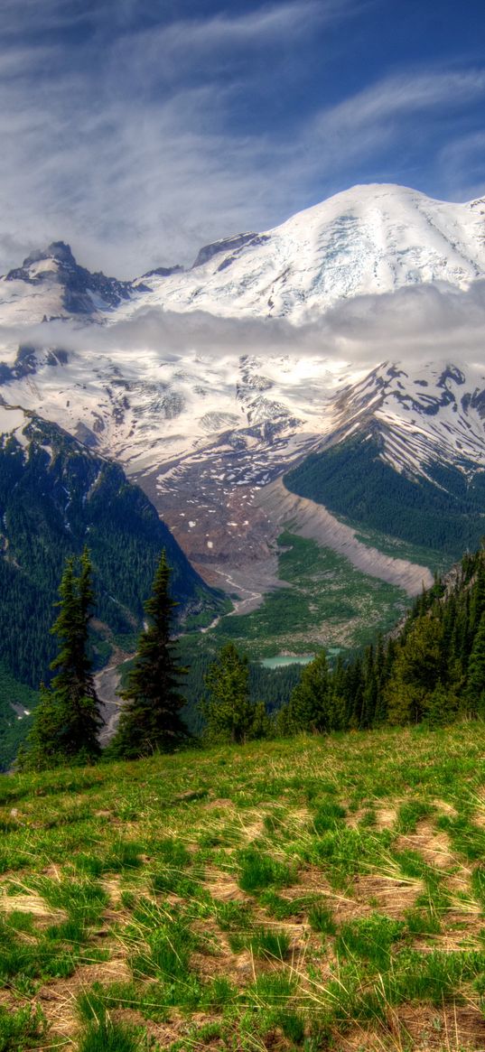 mountains, landscape, mt rainier, washington, grass, hdr