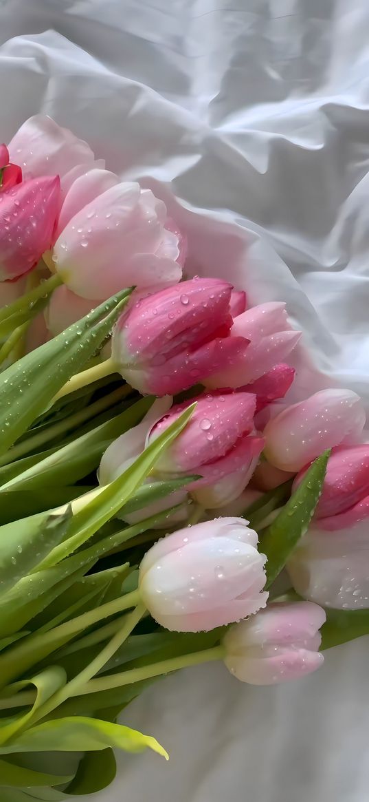 drop, flowers, tulip, bouqet, pink, water