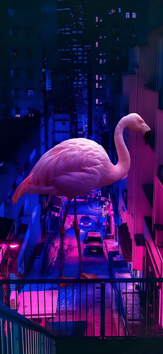 flamingo, pink, night