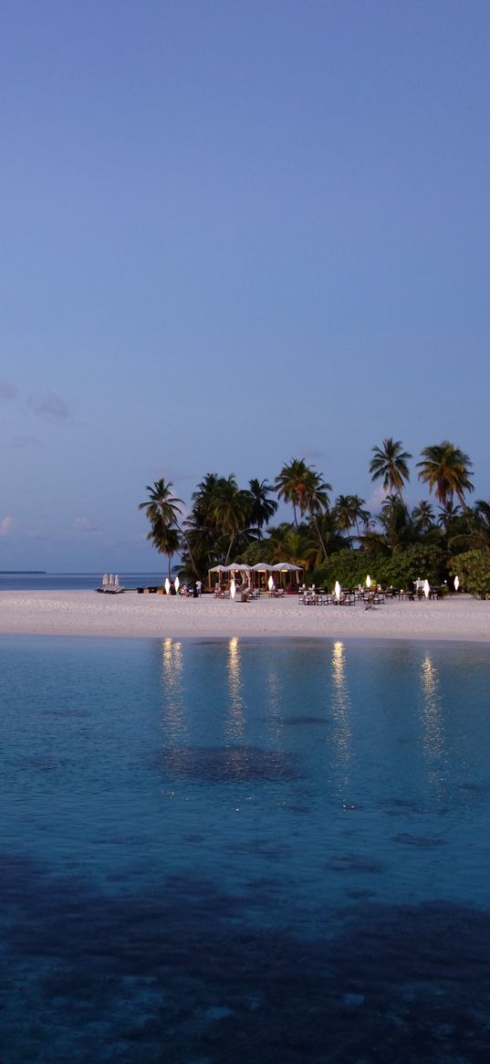 maldives, tropical, beach, palm trees, evening