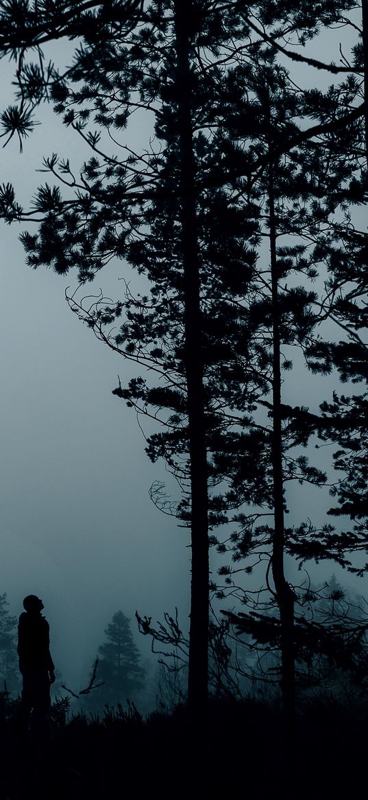 man, lonely, trees, forest, fog, darkness, nature