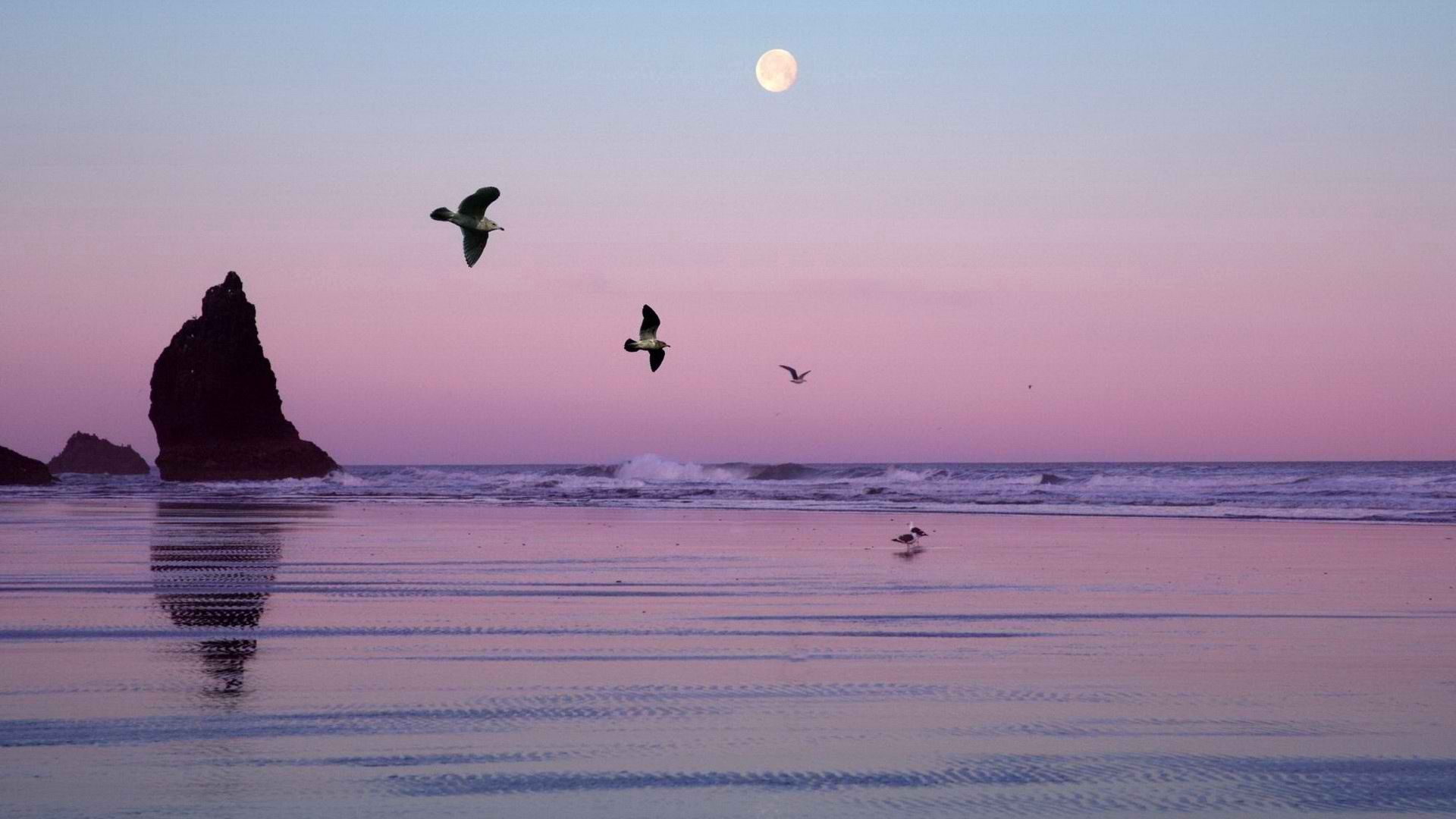 oregon, birds, lake