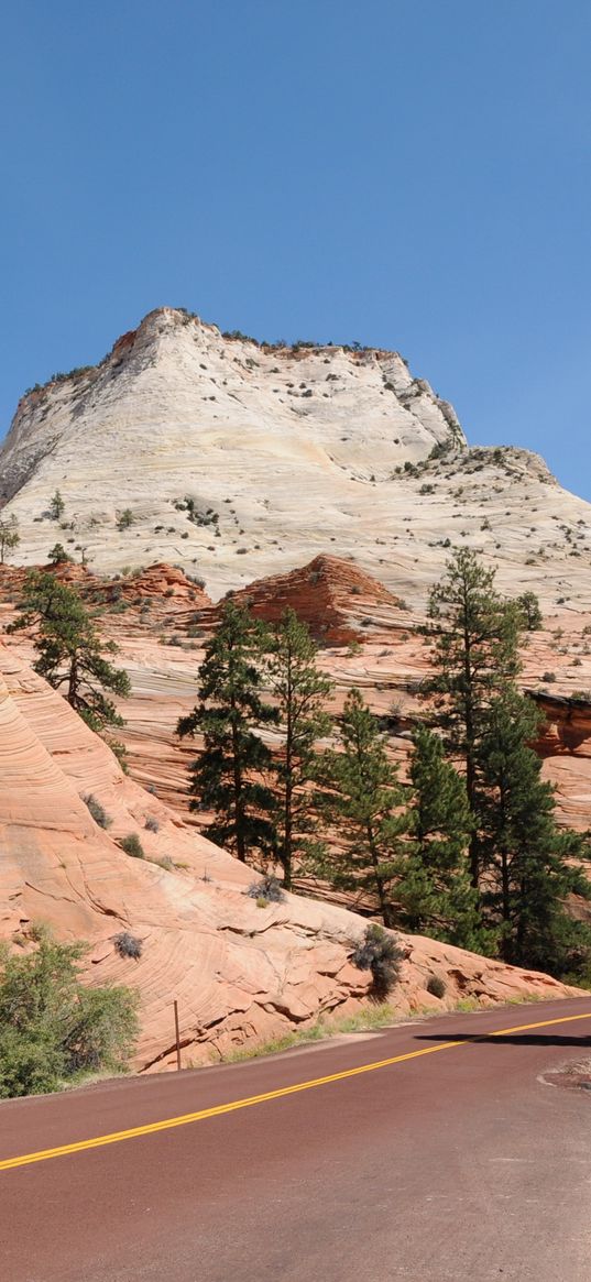 park, usa, road, zion, nature