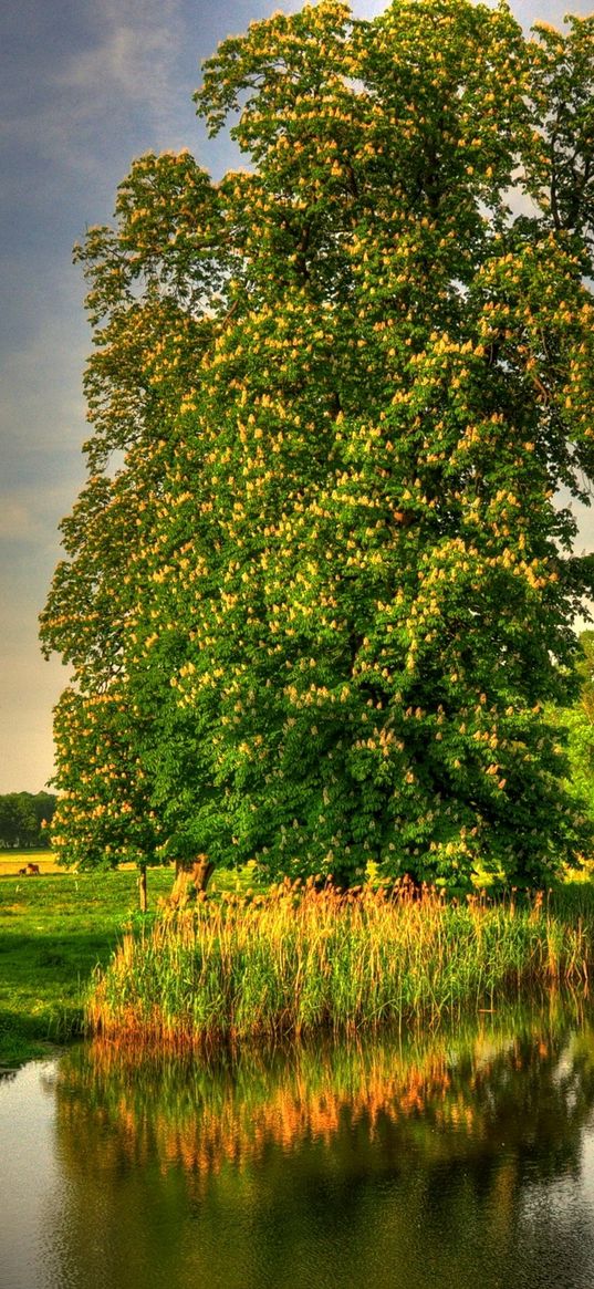 landscape, germany, basedow, hdr, nature