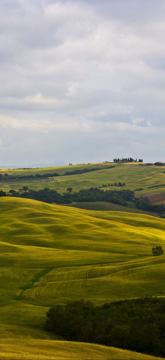 fields, italy, montalcino, tuscany, nature