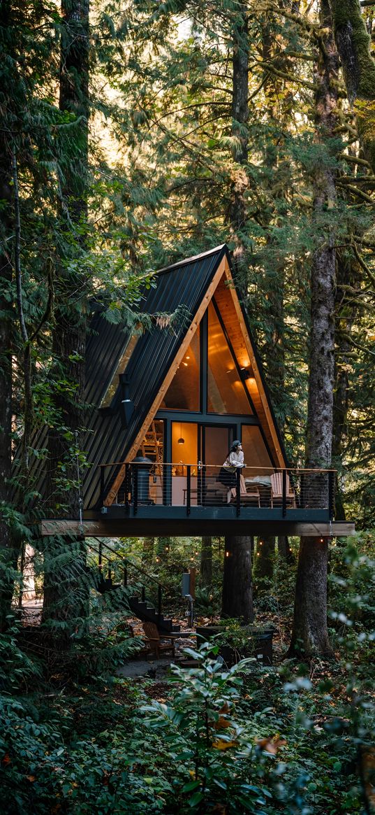 tree house, forest, green, wood, nature