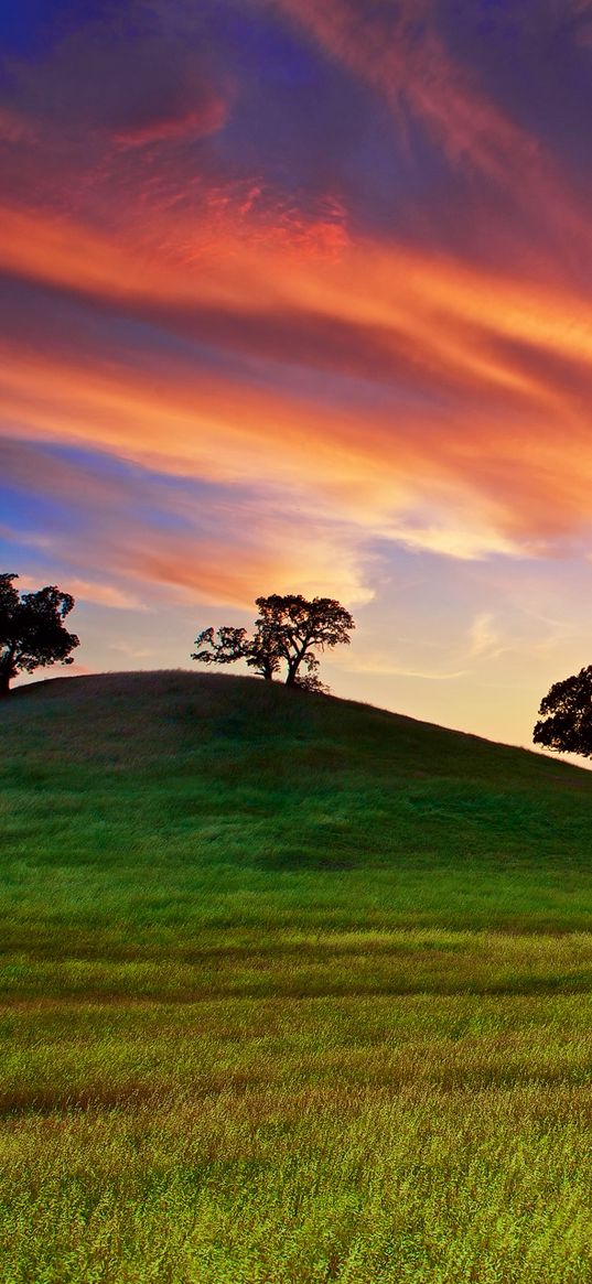 usa, california, sunset, spring, may, sky, clouds, field, grass, trees