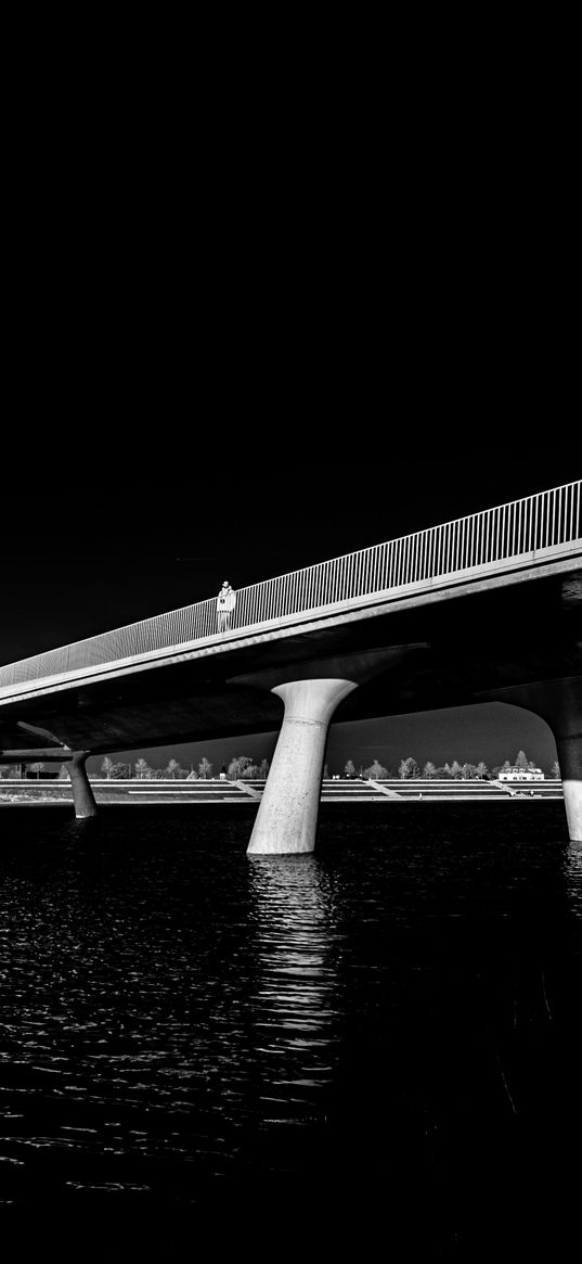 bridge, pilings, river, black and white