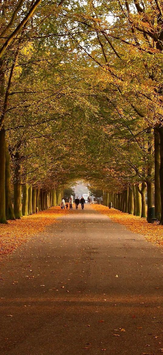 park, autumn, trees, walking paths