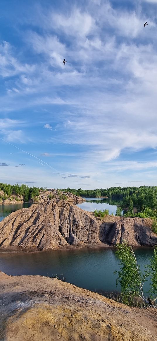 lake, mountains, hills, trees, forests, birds, landscape