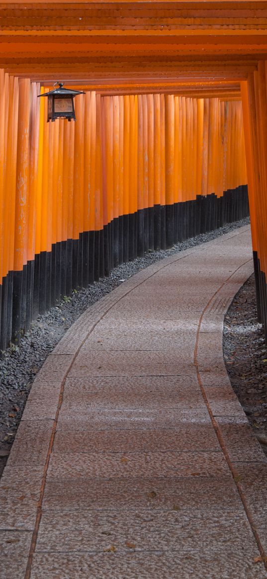 torii gate, path, turn, lantern