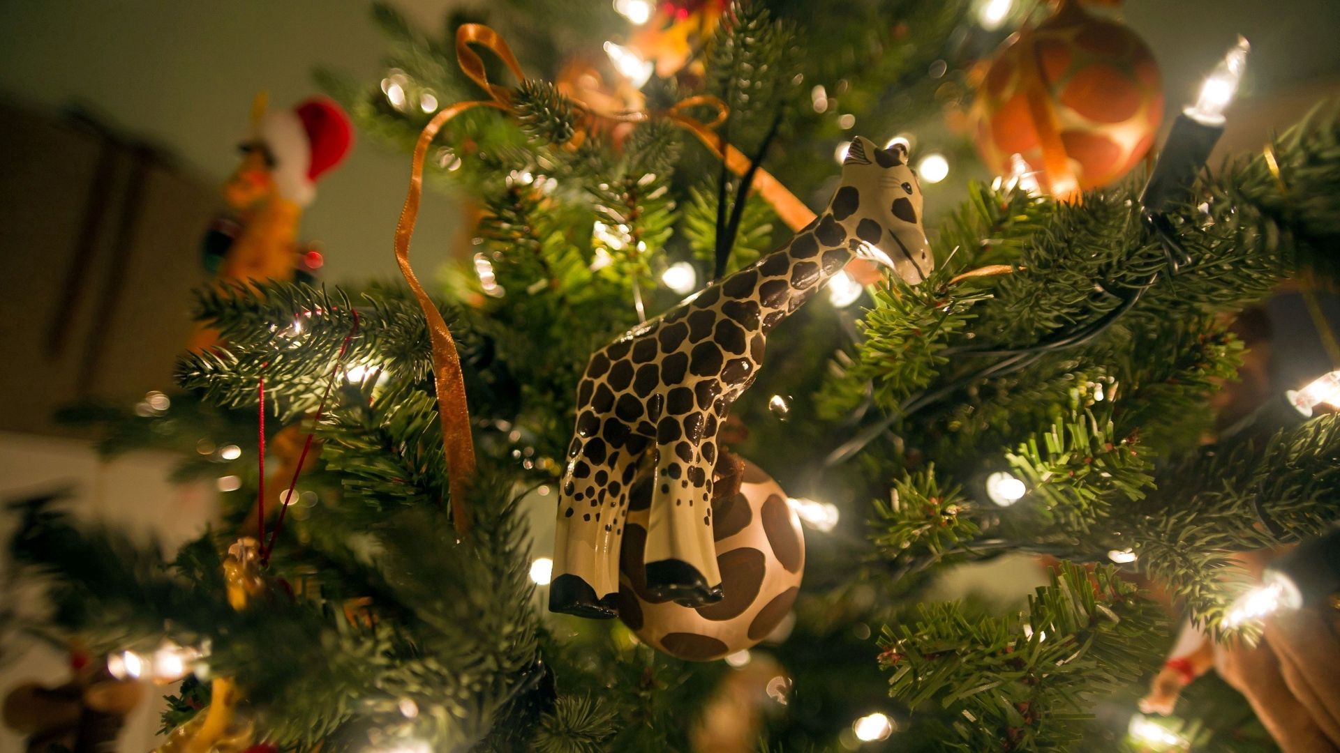 giraffe, tree, gifts, new year