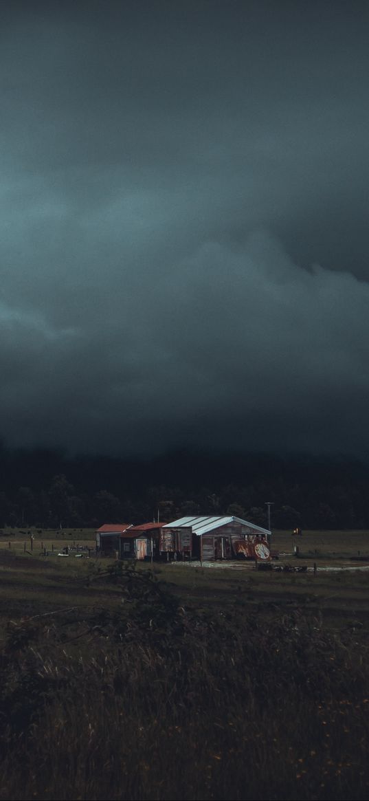 house, field, trees, clouds