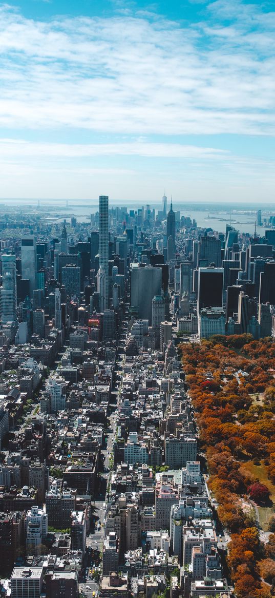 buildings, skyscrapers, streets, roads, trees, city