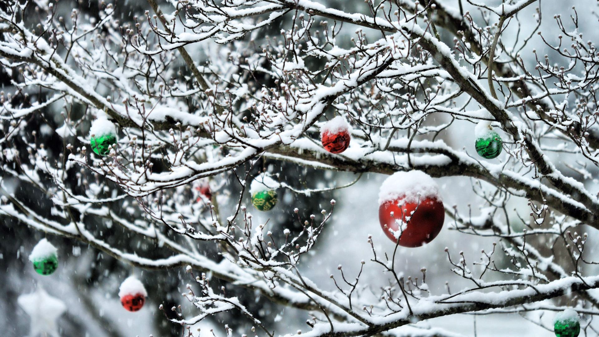 balls, twigs, new year, snow