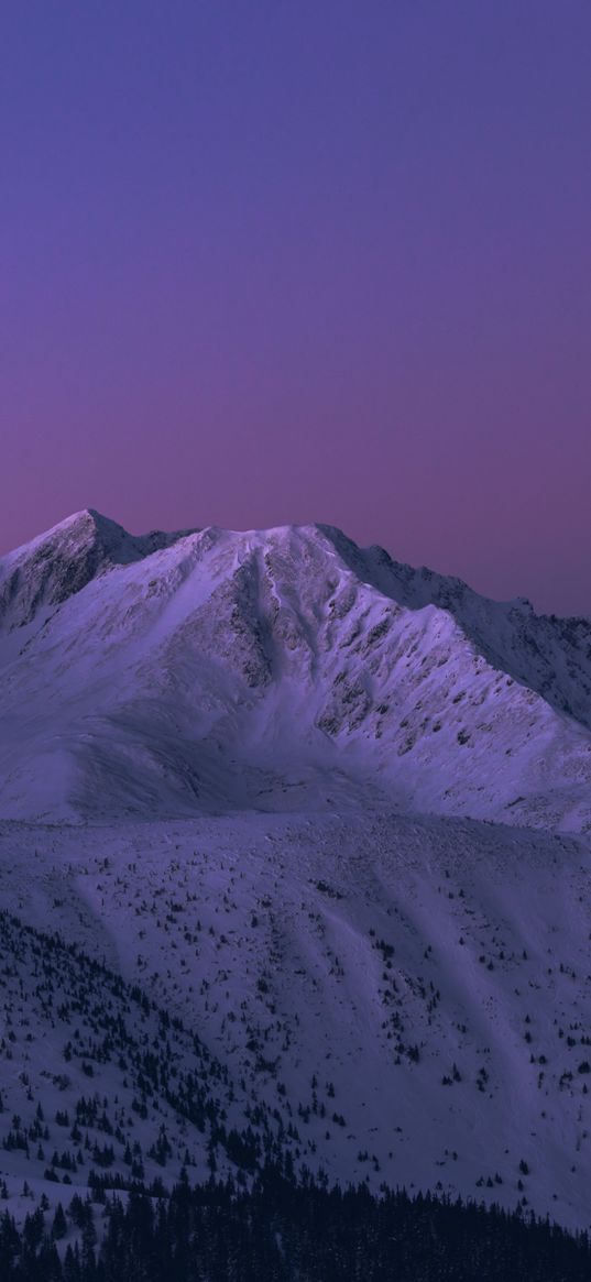 mountains, sky, violet, snow