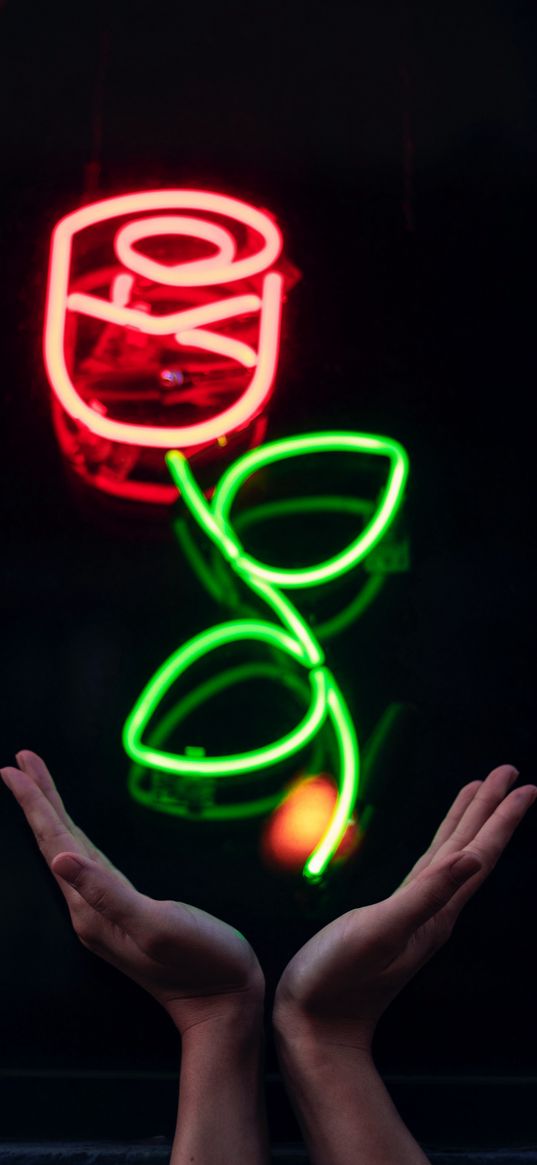 rose, neon, neon sign, hands