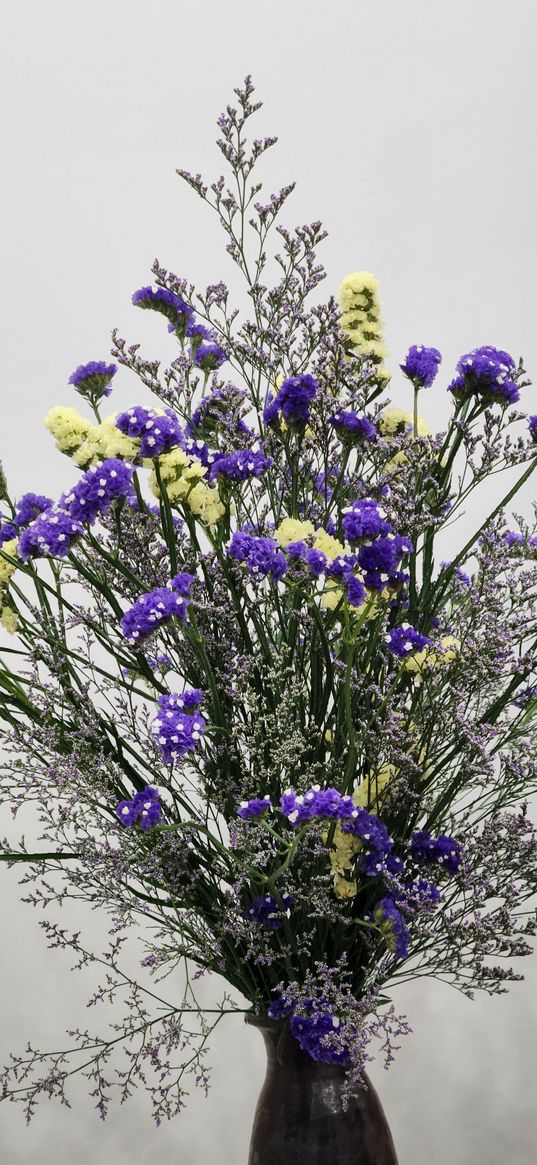 static, flowers, bouquet, vase, blue, white