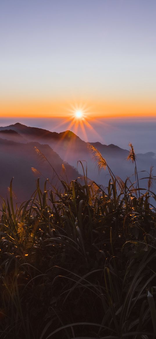 grass, mountains, fog, sunrise, landscape