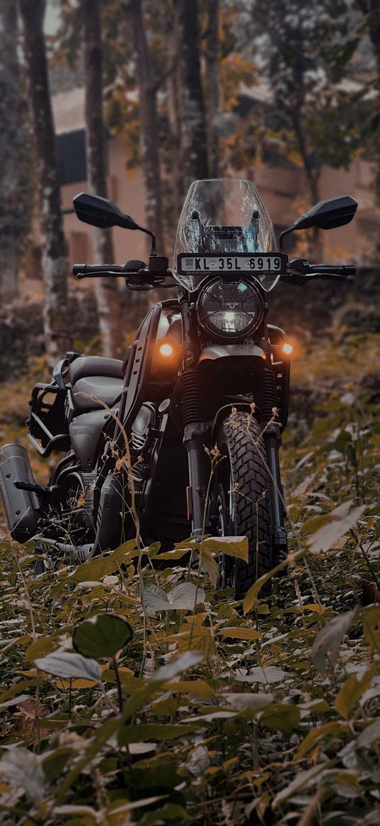 motorcycle, nature, bike, travel, sepia