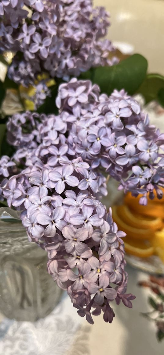 lilac, flowers, oranges