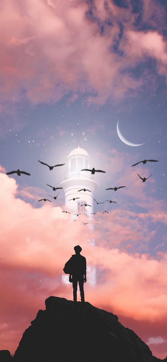 clouds, sky, moon, traveler, birds