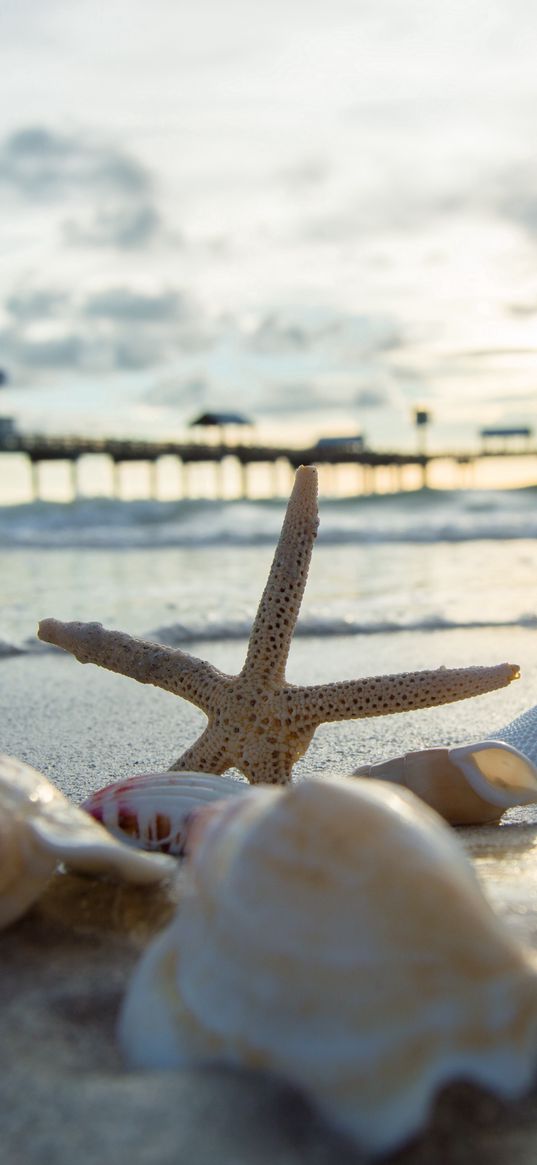 starfish, shells, sunset, sea, water, waves, pier