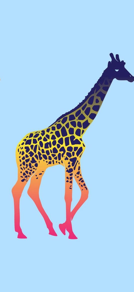 giraffes, three, series, colorful