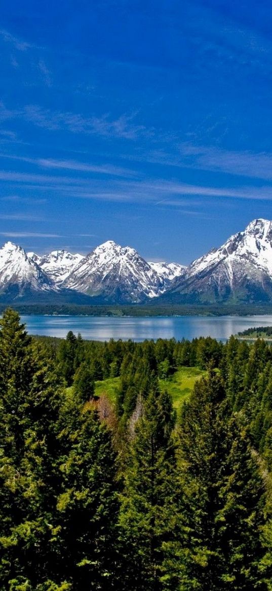 mountains, grass, distance, top