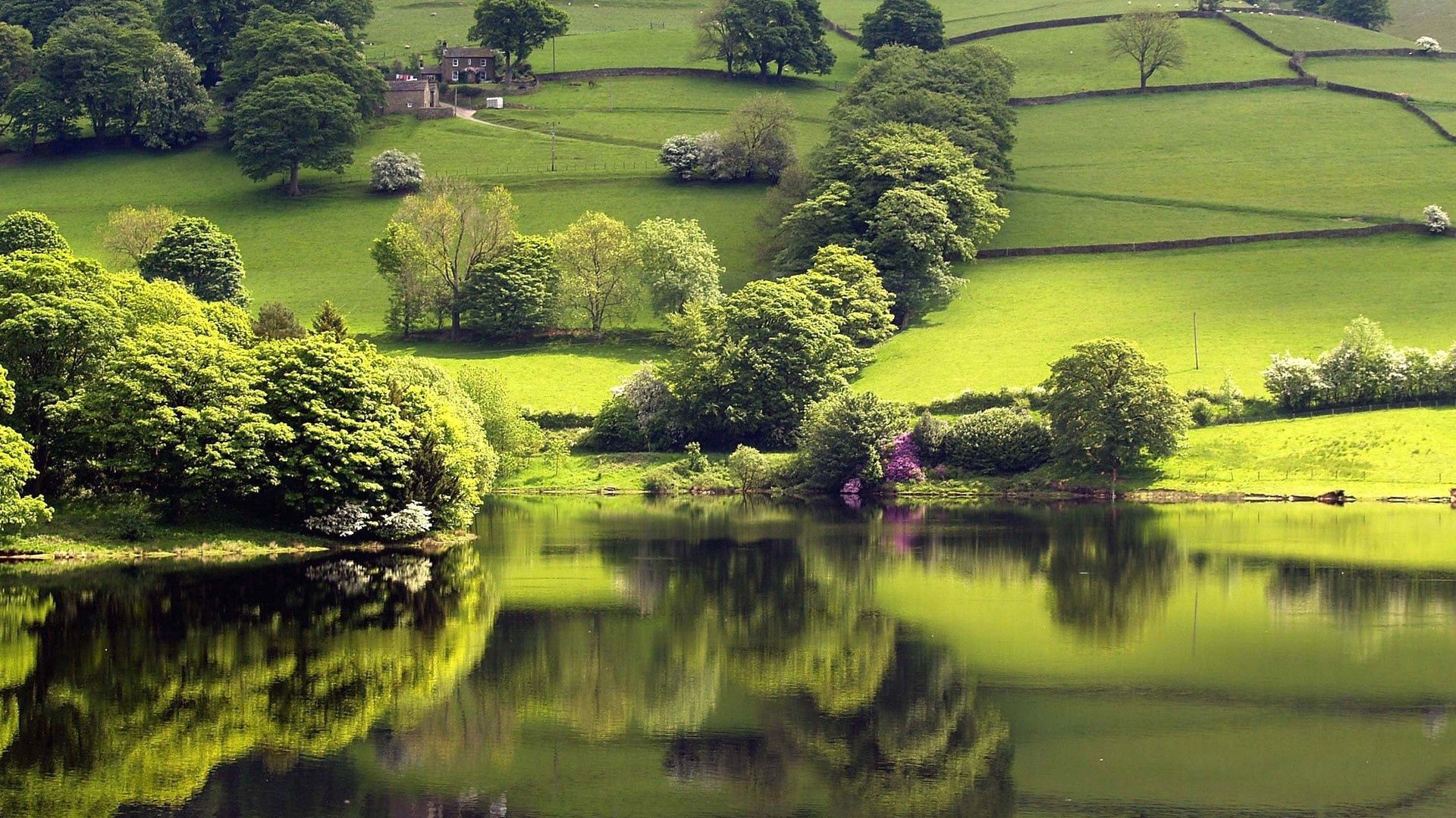 river, distance, elevation, grass, trees