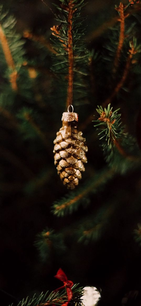 pine cone, new year, spruce, needles, branches