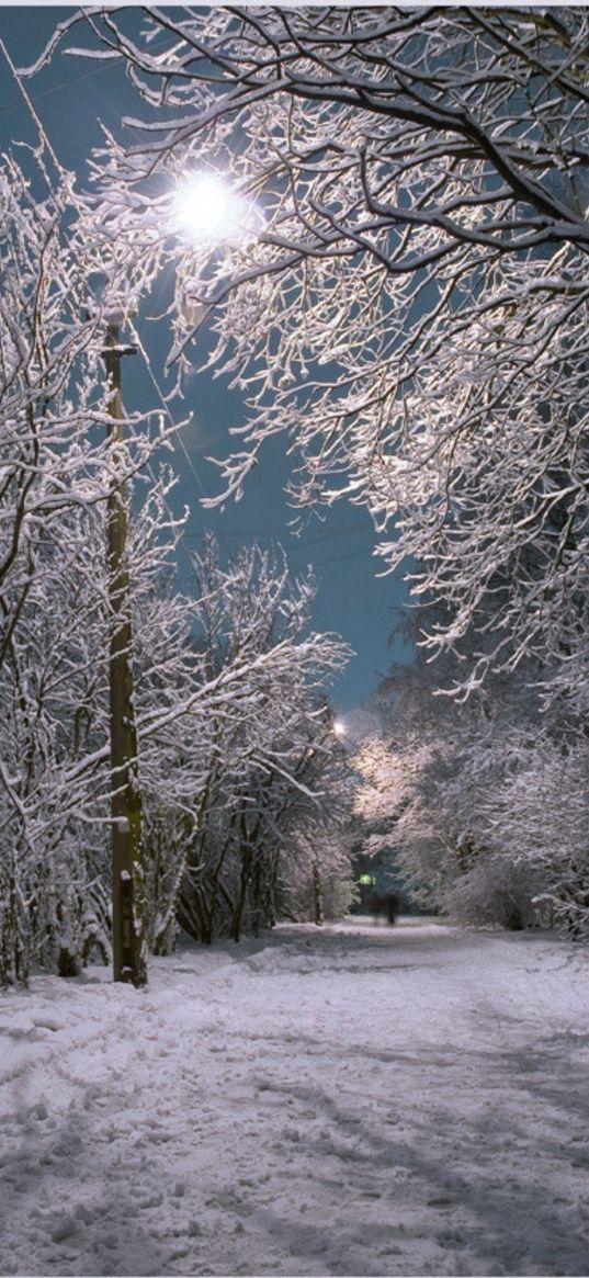 winter, snow, lantern, outside, night