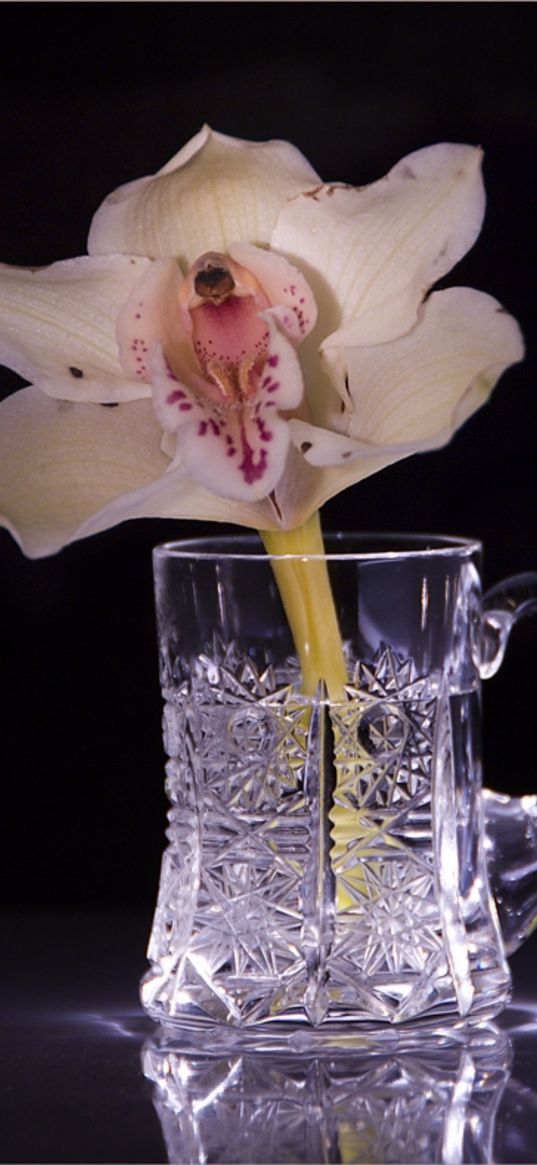 lily, glass, light, flower, crystal