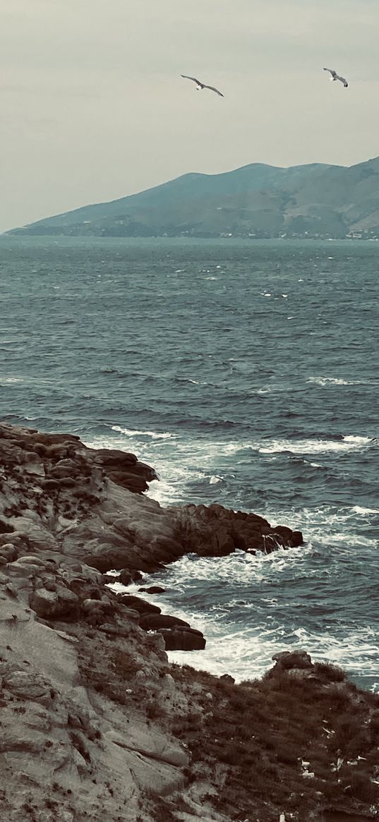 shore, sea, seagulls, hills, sky, landscape, nature