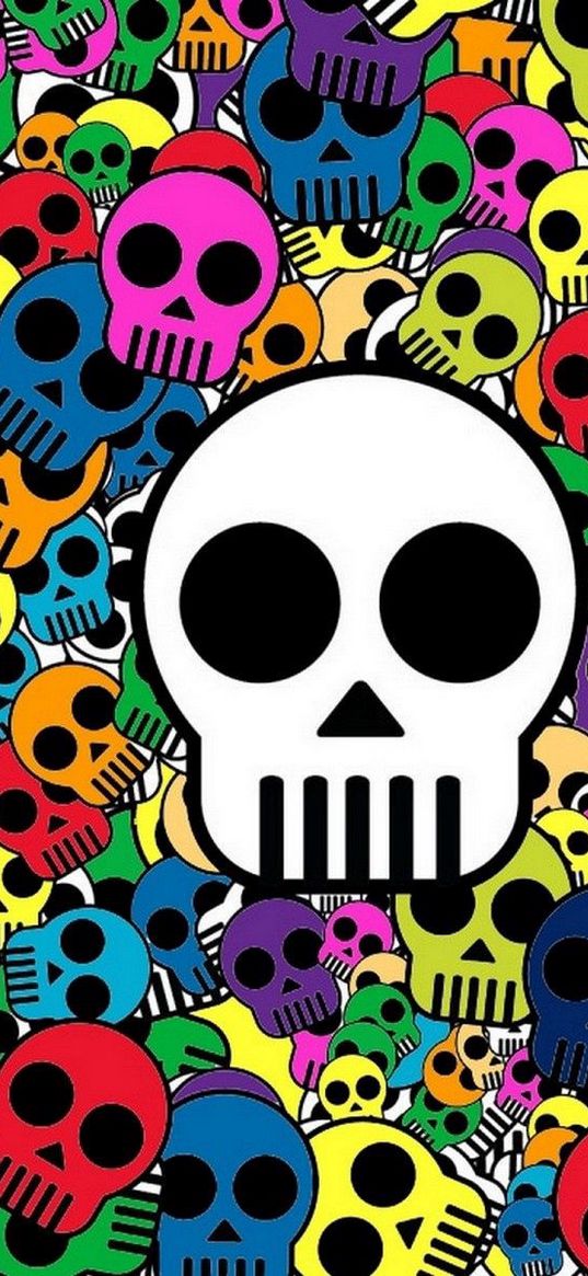 skull, background, bright, multi-colored