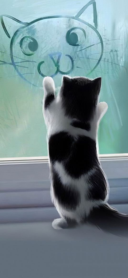 window, kitten, window sill, pet, cute