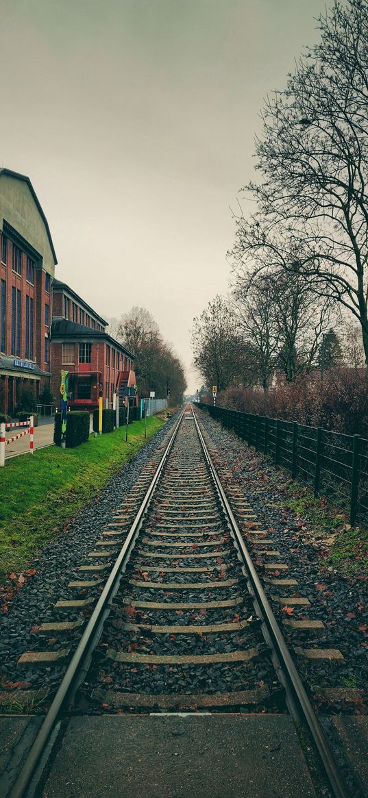 rail, train, brown, rails, autumn