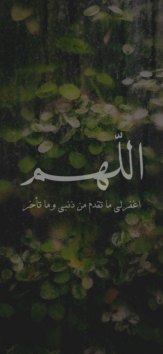 text, quote, arabic characters, leaves, tree, rain, green