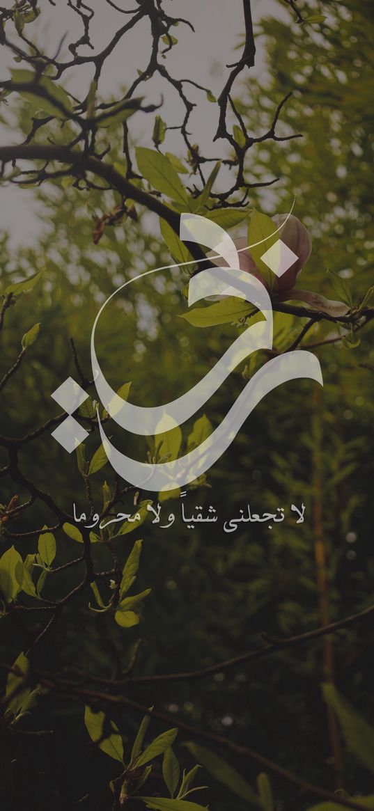 text, quote, arabic characters, leaves, branches, tree, green, nature