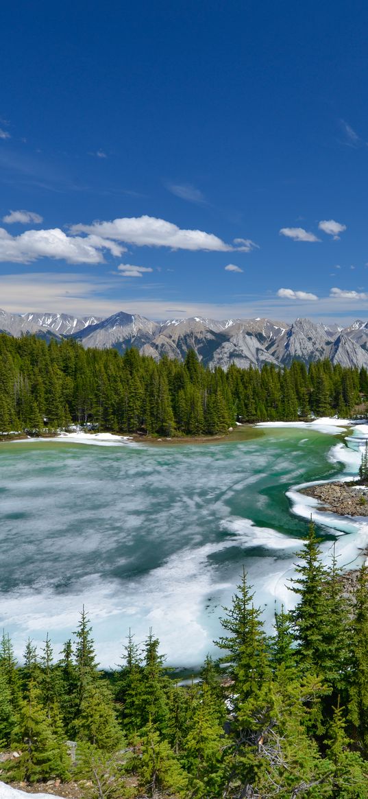 lake, forest, trees, ice, snow