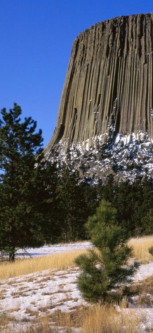 devils tower national monument, wyoming, mountain, trees