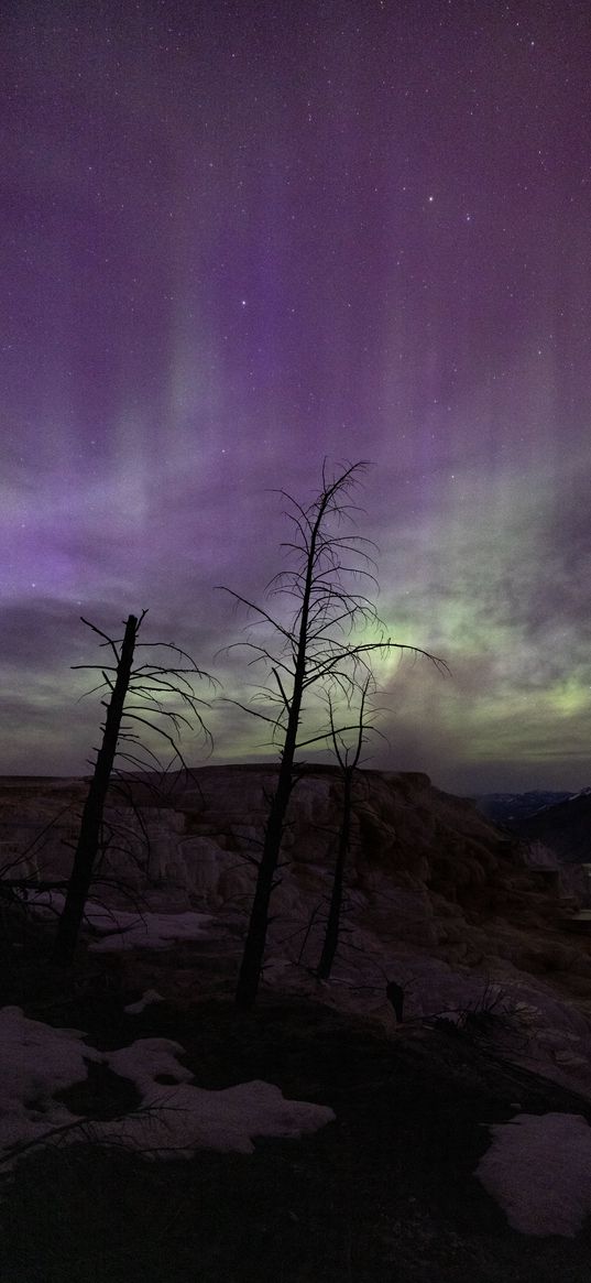 trees, hills, northern lights, night