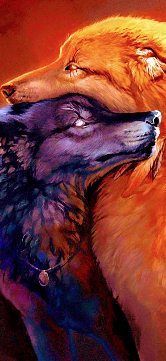 wolves, blue, fire, pare, love