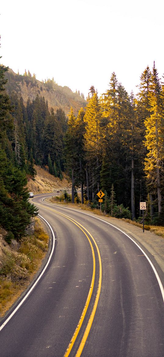 road, turn, trees, nature, landscape