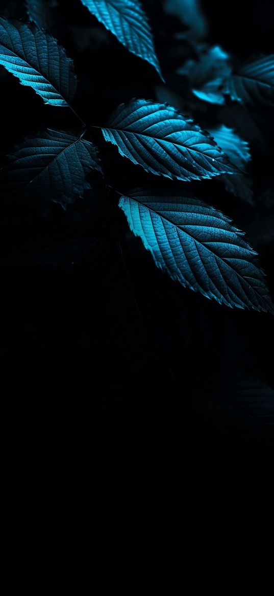 leaves, plant, green, darkness, nature