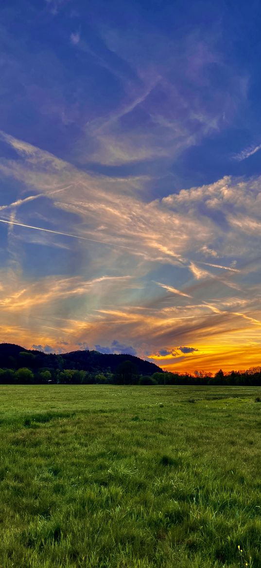 nature, sunset, germany, field, greenery